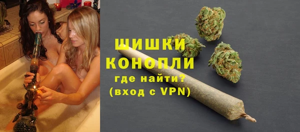 spice Пестово