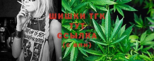 spice Пестово