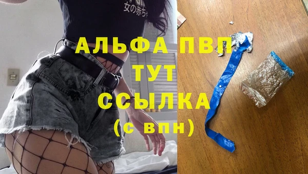 spice Пестово