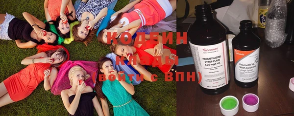 apvp Пересвет