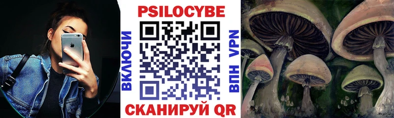 Галлюциногенные грибы Psilocybe  Железногорск 