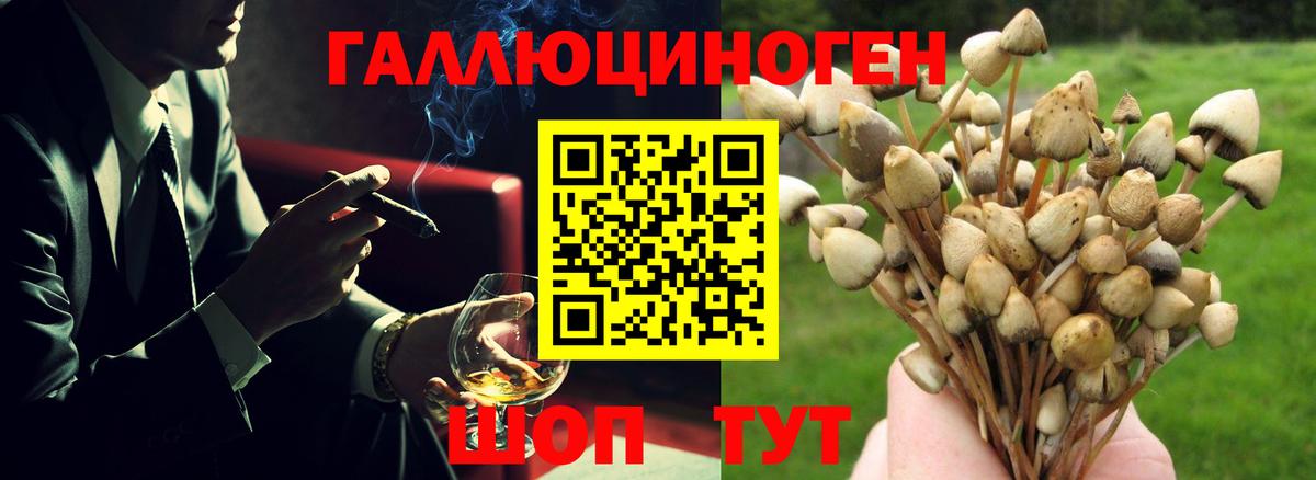 Железногорск  Галлюциногенные грибы Psilocybe  Вход с VPN  Псилоцибиновые грибы Magic Shrooms 